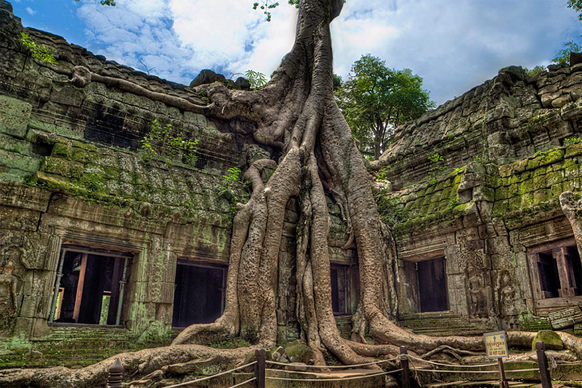 Заброшенный храм Та Прум (Ангкор)