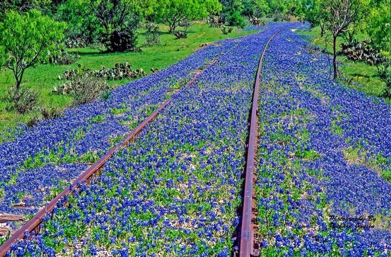 Старая железная дорога (Техас, США)