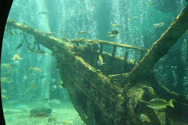 Затонувший деревянный корабль