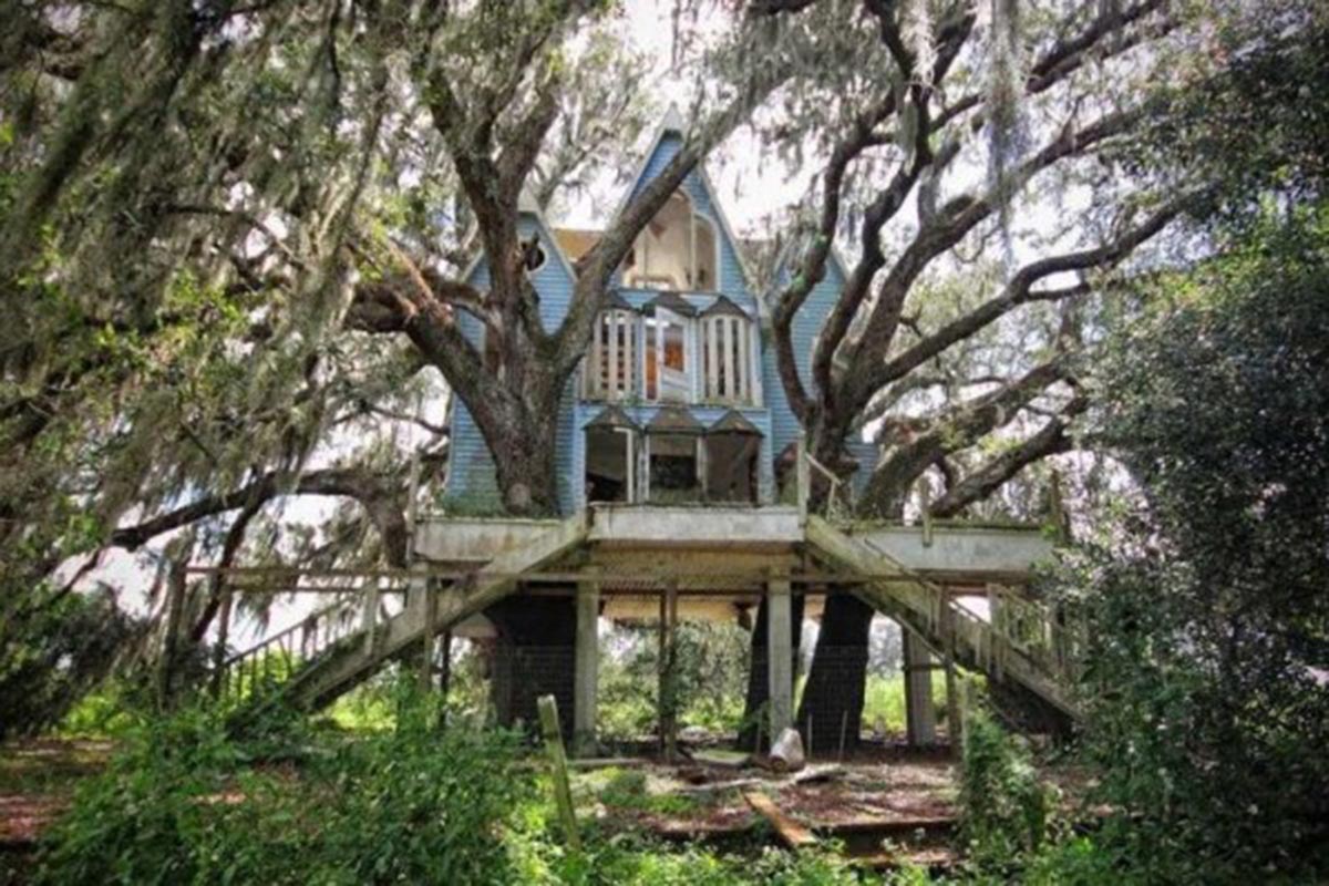 Дом в викторианском стиле на дереве (Флорида, США)