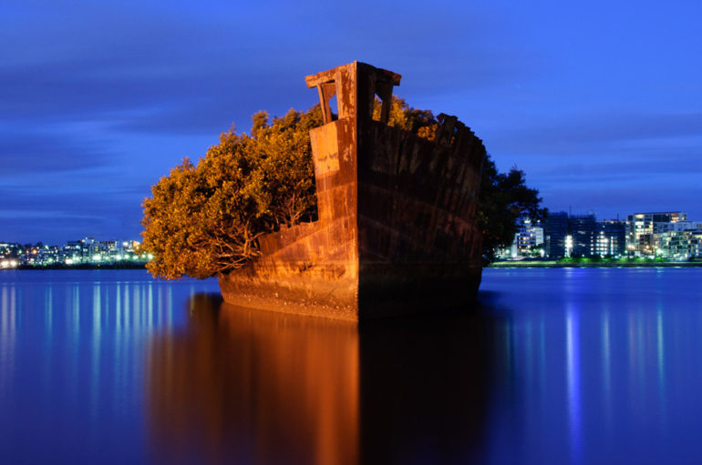 Заброшенное судно — плавающий мангровый лес